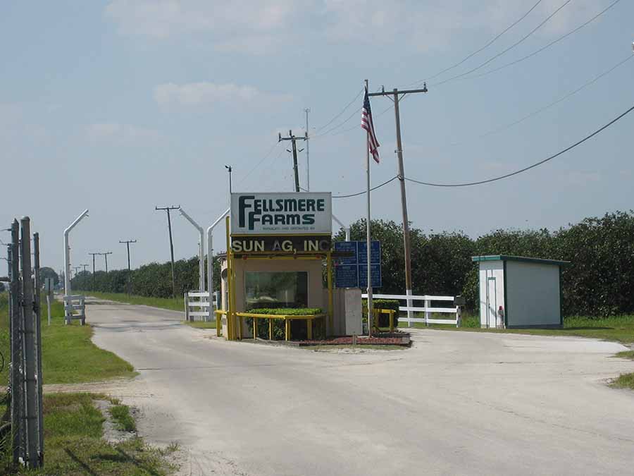 Fellsmere Farms Fellsmere Florida