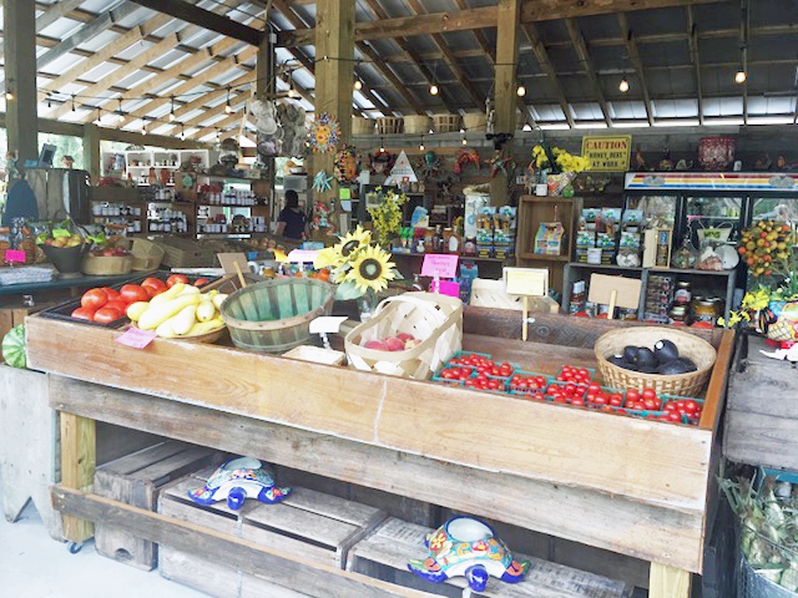 Fruits, vegetable, jams, jellies and so much more at Peterson Groves