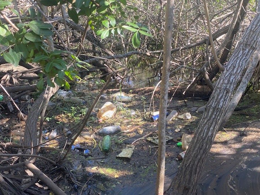 Trash along river
