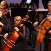Photo of the Atlantic Classical Orchestra Performing with a focus on the Cellos.