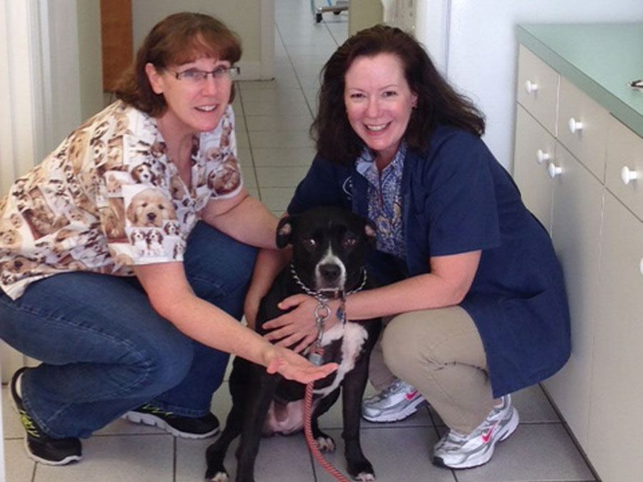 Dr. Mary and Pheebe with patent Zoe a lab mix 