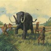 Drawing of men killing mammoth representing the Old Vero Ice Age Site Committee Vero Beach Florida