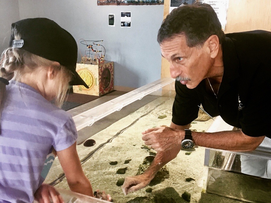 Girl checking out the touch tank Environmental Learning Center Vero Beach Florida