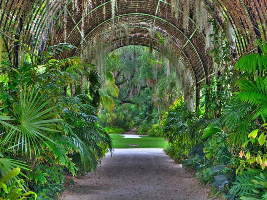 Mckee Botanical Garden Attractions Vero Beach Fl Verobeach Com