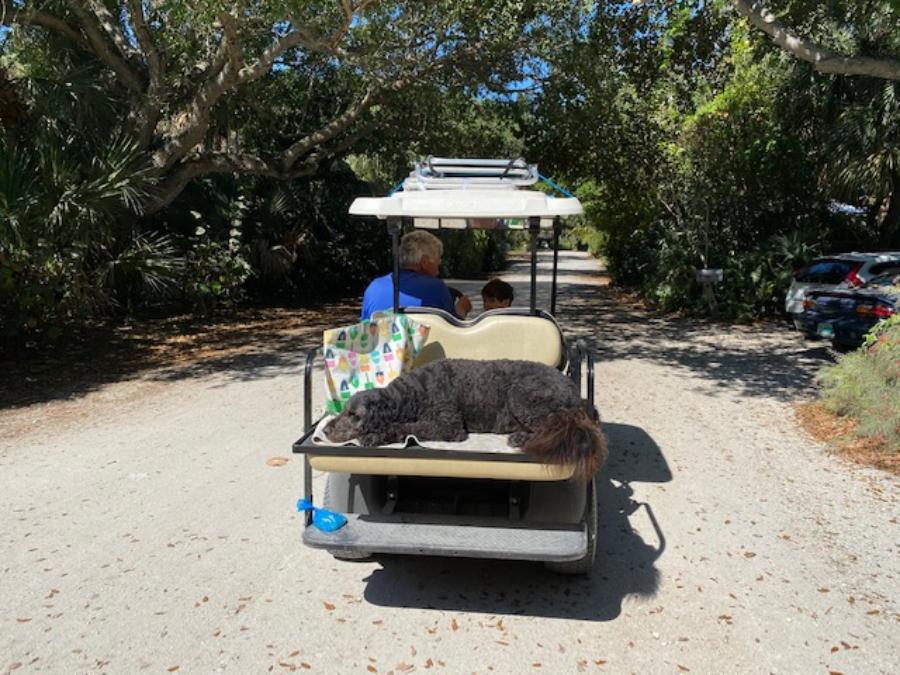 Golf cart with grandfather, grandson and big dog driving down Barefoot Place in Summerplace, Vero Beach